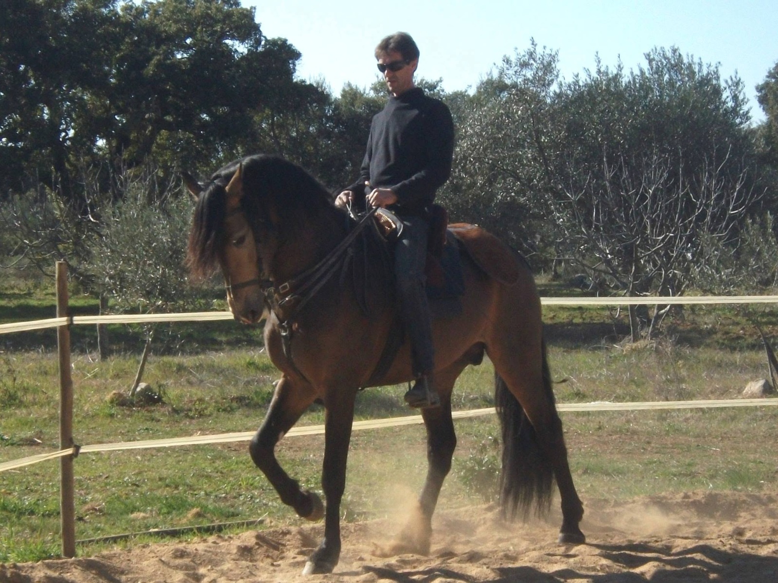 Passeio a cavalo no Centro Hípico Santa Maria, Algarve
