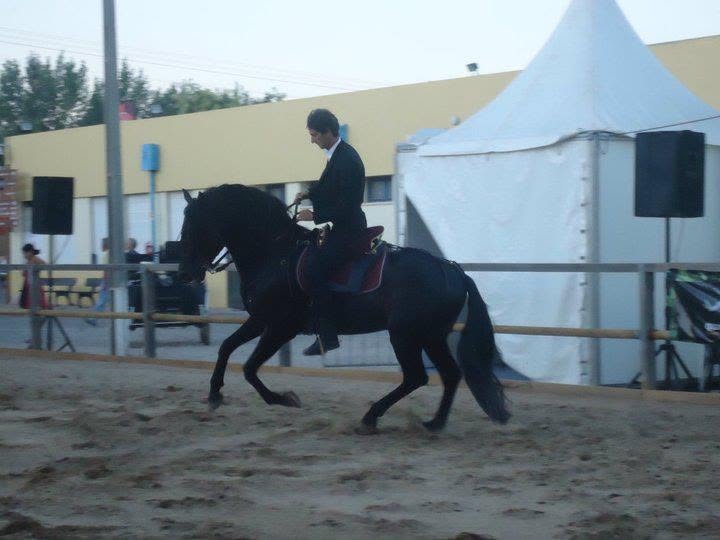 Passeio a cavalo no Centro Hípico Santa Maria, Algarve