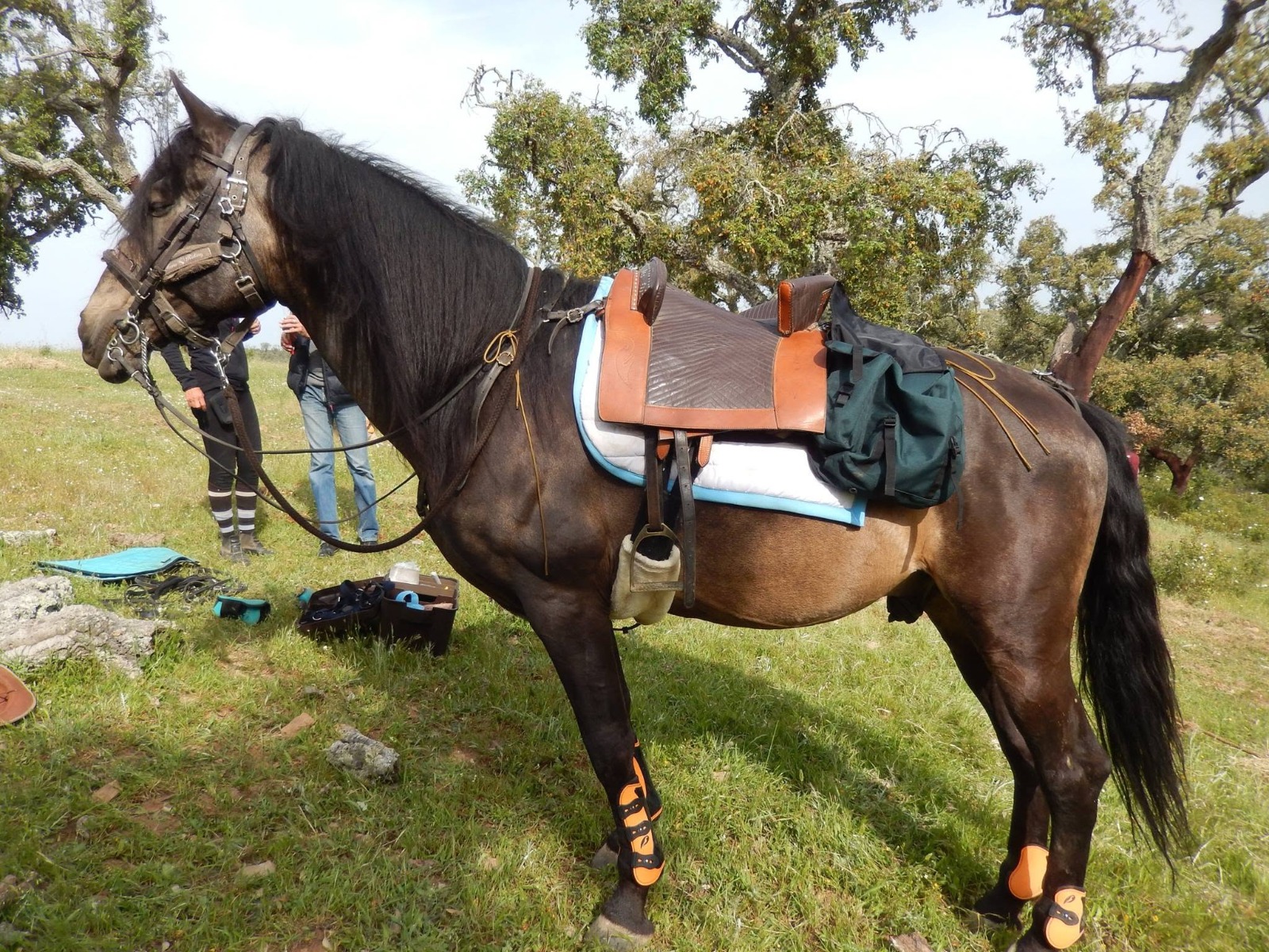 Passeio a cavalo no Centro Hípico Santa Maria, Algarve