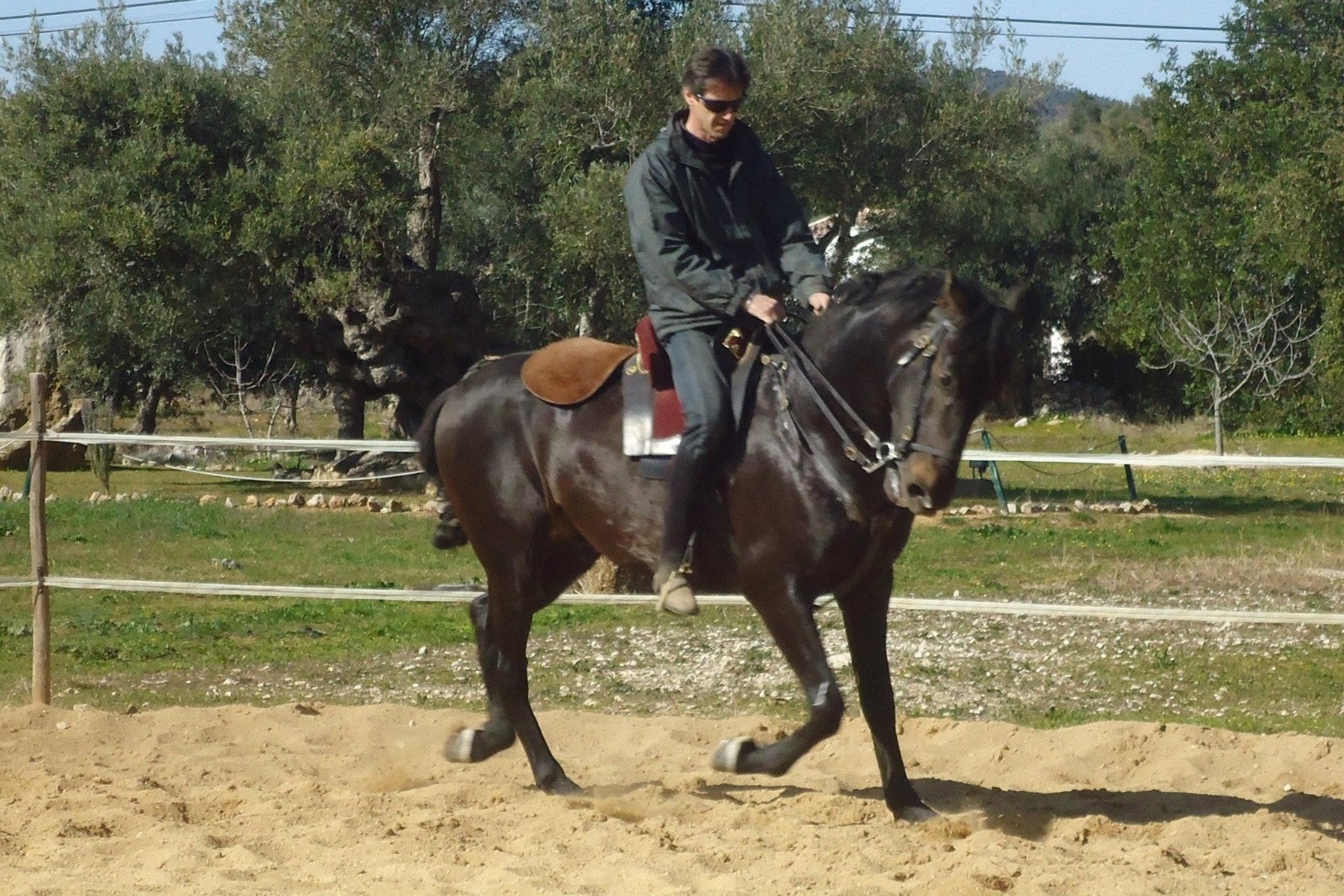 Passeio a cavalo no Centro Hípico Santa Maria, Algarve