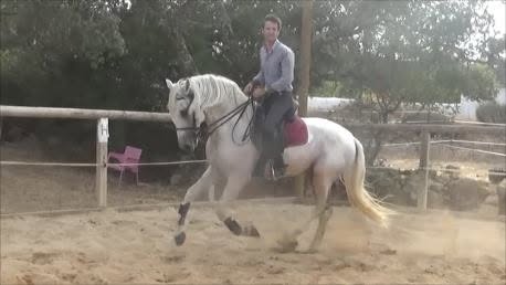 Passeio a cavalo no Centro Hípico Santa Maria, Algarve