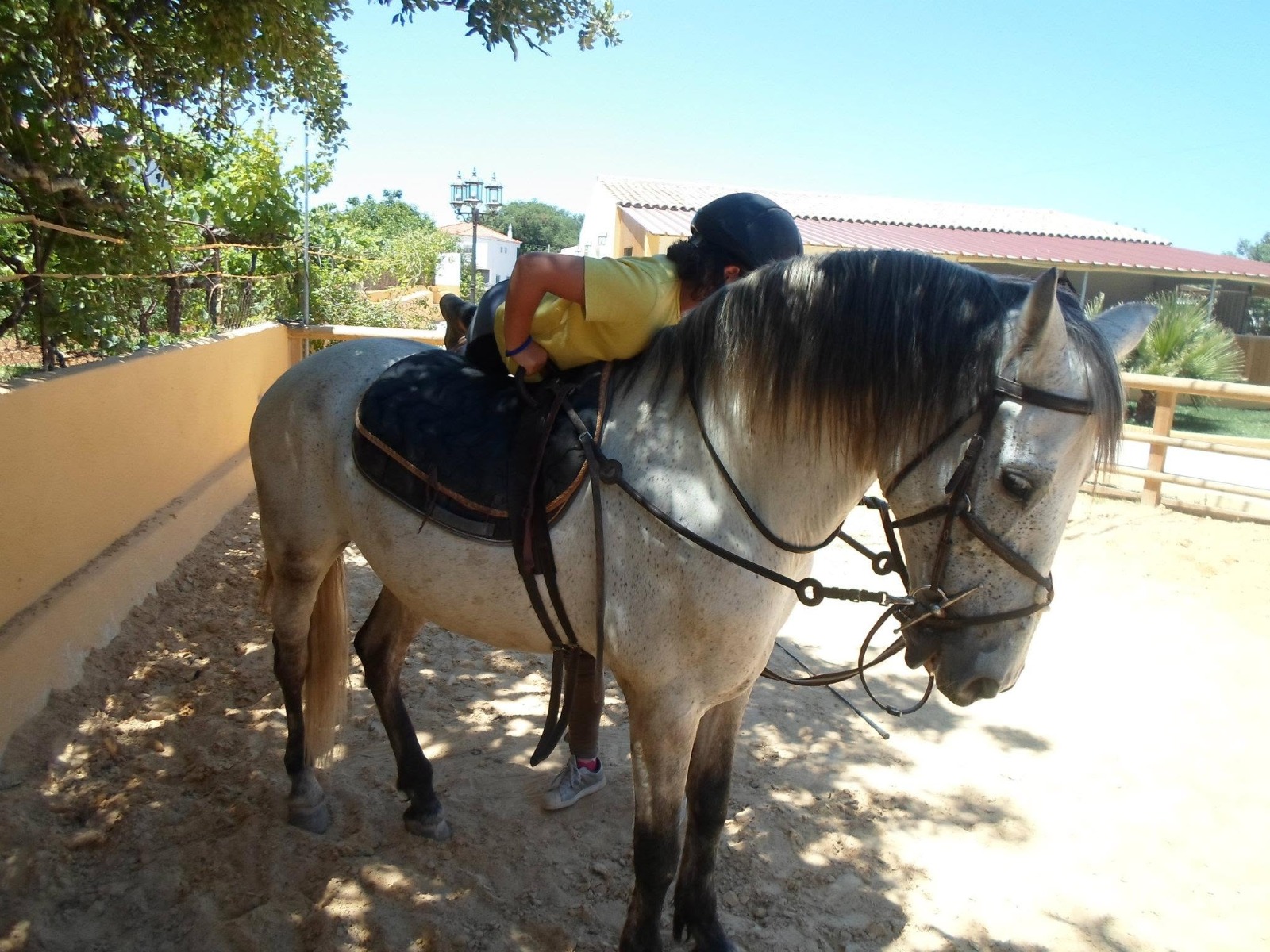 Passeio a cavalo no Centro Hípico Santa Maria, Algarve
