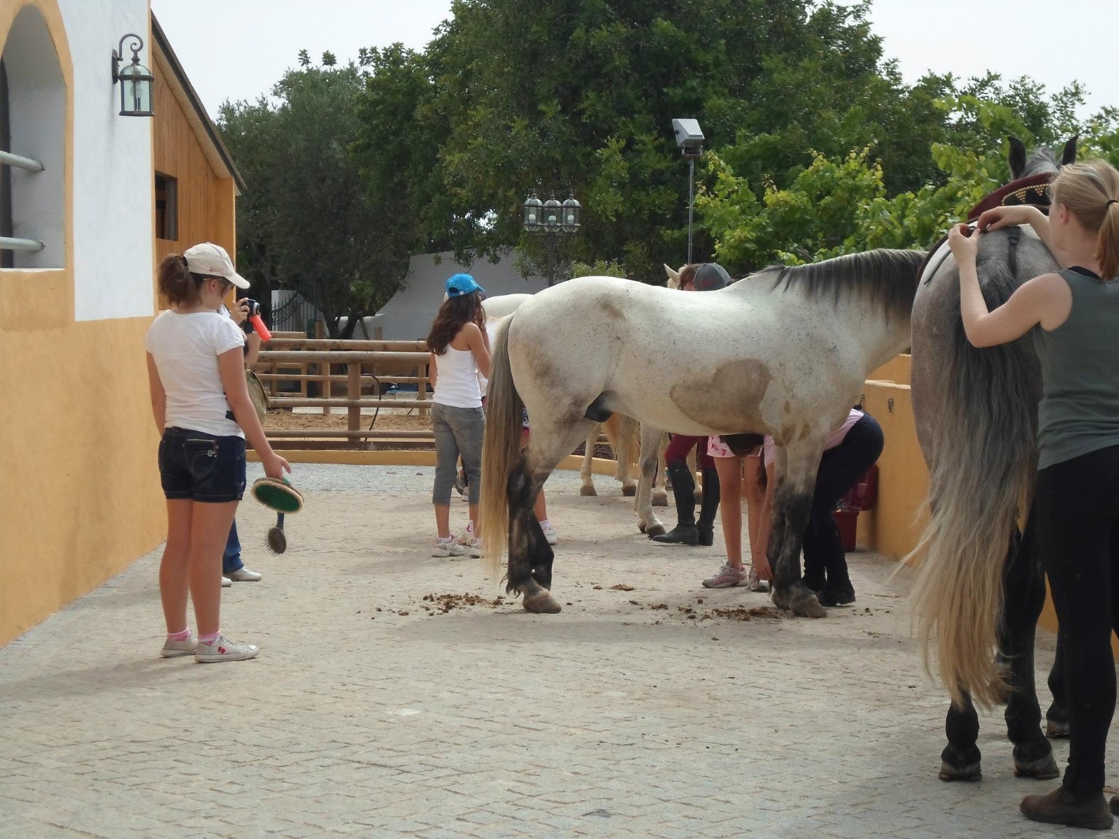 Passeio a cavalo no Centro Hípico Santa Maria, Algarve