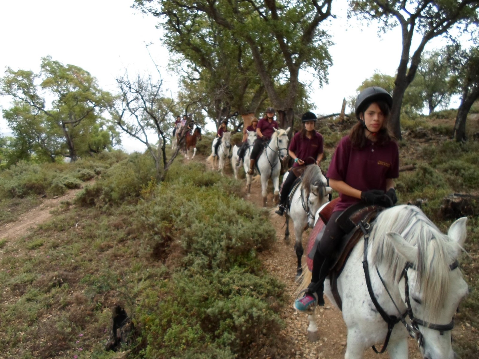Passeio a cavalo no Centro Hípico Santa Maria, Algarve