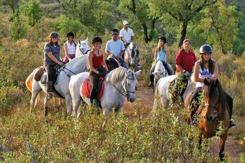 Grupo em passeio a cavalo pela serra do Algarve, entre árvores