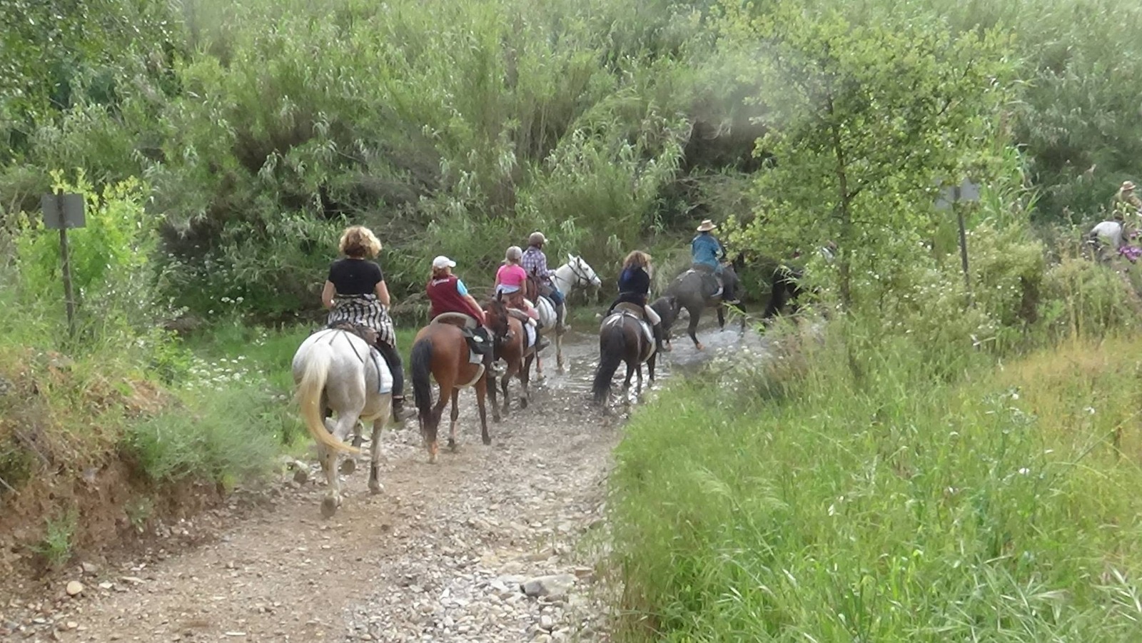 Eventos realizados pelo Centro Hípico Santa Maria, Algarve